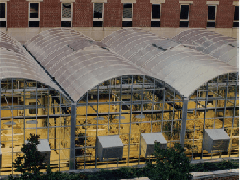 Twin wall polycarbonate sheet  16